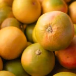 BIO ROZA GRENIVKE 10 kg - slika 2