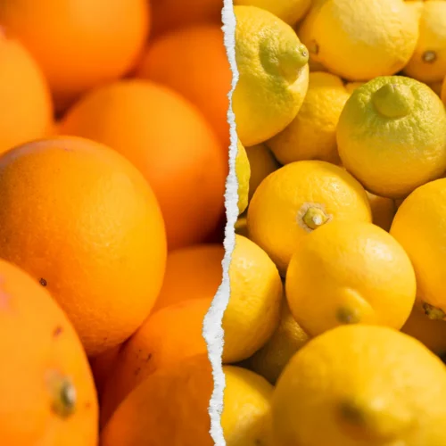 Mix bio pomaranč Valencia in limon