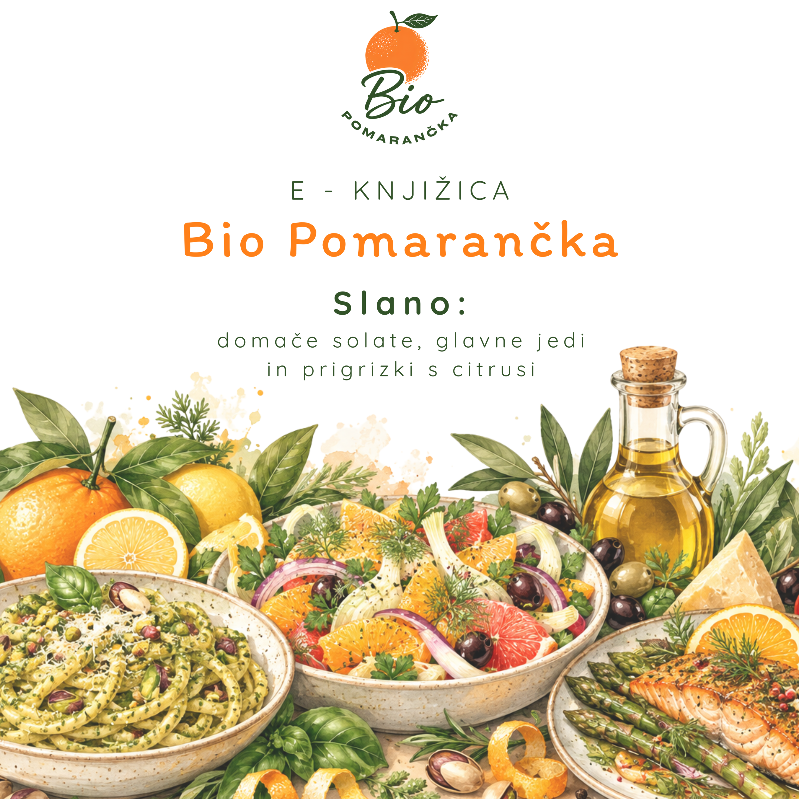 e-knjižica SLANO E-knjižica receptov: Slano - slika 1